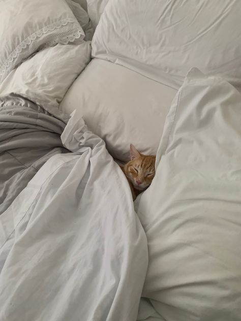 Cozy Cat/White Bed/Orange Cat/Cute Cat/Cozy/Cat Cozy White Bedding Aesthetic, Cats In Bed Aesthetic, Cats On Beds Aesthetic, Cat At Home Aesthetic, Cat Cuddle Aesthetic, Cozy Cat Bed, Cozy January Aesthetic, Cozy In Bed Aesthetic, Cozy Bed Sheets