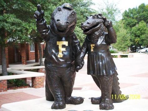 University of Florida Gators - statue of mascots Albert B. Gator & Alberta Gator. Nascar Costume, Uf Gators, Florida Gators Football, Fsu Seminoles, Gators Football, Dog Football, College Football Games, Florida Girl, Airport Shuttle