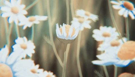 Gif Background, Anime Flower, Icon Gif, Cream Aesthetic, Flowers Gif, Banner Gif, Header Banner, Nature Gif, Aesthetic Gif