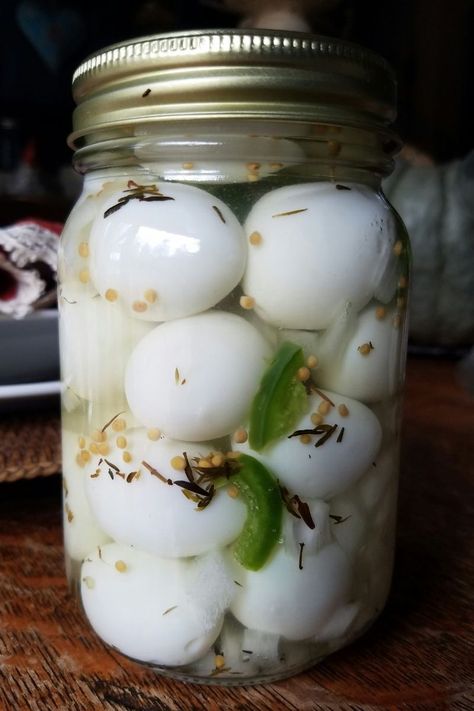 Easy Pickled Quail Eggs Recipe Jalapeno Brine, Pheasant Pen, Pickeled Eggs, Fermented Eggs, Quail Hutch, Quail Farming, Quail House, Pickled Quail Eggs, Quail Family