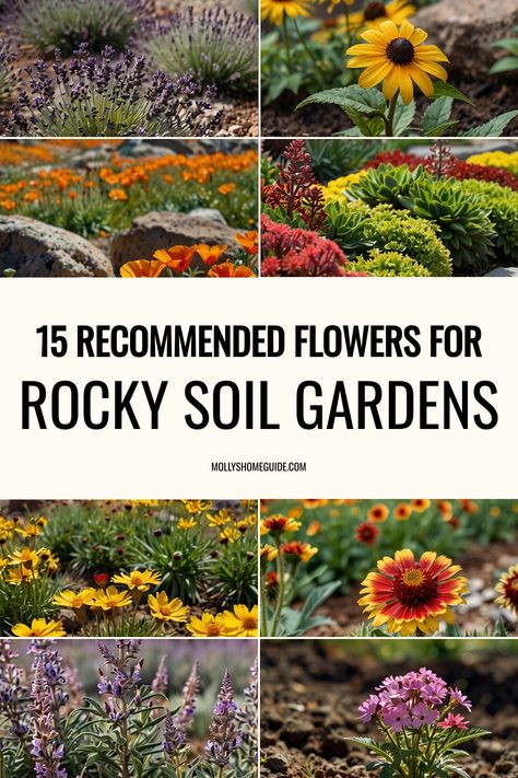 Discover a variety of plants that thrive in rocky and poor soil conditions. From vibrant rock garden plants to colorful flowering succulents, there are plenty of options to create a beautiful garden even in challenging environments. Explore the best flowers for rocky soil and get inspired to transform your outdoor space with these resilient and stunning plants. Whether you're looking for low-maintenance options or unique additions to your landscape, these rocky soil plants will surely bring beau Rocky Soil Landscaping, Rocky Backyard, Plants For Sandy Soil Landscapes, Rocky Mountain Garden, Plants For Clay Soil Perennials, Shallow Root Perennials, Plants For Soil Erosion, Plants For Acidic Soil, Plants For Rocky Soil