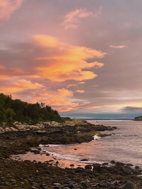 Coastline Aesthetic, Maine Coast Aesthetic, Coastal Maine Aesthetic, Easy Coast Aesthetic, Aragorn Aesthetic, Maine Astetic, Summer In Maine Aesthetic, Maine Summer Aesthetic, Maine Aesthetic Summer