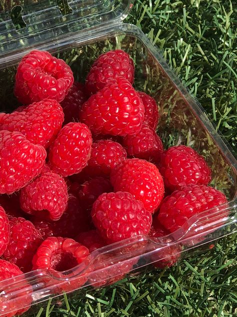 Fresh Raspberries, Rasberries Aesthetic, Raspberry Aesthetic, Raspberries Aesthetic, Picking Raspberries Aesthetic, Raspberries Photography, Rasberry Aestethic Fruit, Types Of Berries, Raspberry Ice Cream