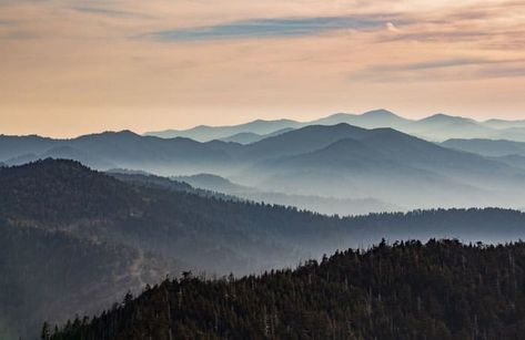 Best Photos of Great Smoky Mountains National Park - My Smoky Mountain Park Smoky Mountains Tattoo, Smoky Mountain Tattoo, Smoky Mountains Photography, Misty Sunrise, Smokey Mountains National Park, Smokey Mountains Vacation, Mountains At Night, Acrylic Coasters, Mountains Photo