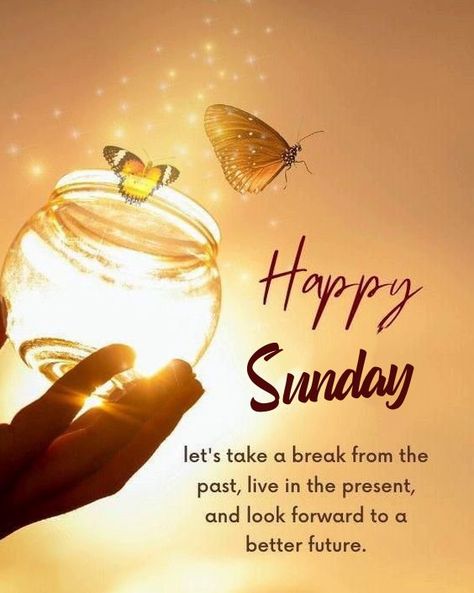 55 Happy Sunday Images  #WeekdayMessages Positive Sunday Vibes Images Good Sunday Afternoon Quotes, Happy Sunday Quotes Positivity, Sunday Quotes Good Morning, Happy Sunday Gif, Sunday Funny Images, Sunday Morning Pics, Good Morning Happy Sunday Images, Funny Sunday Memes, Happy Sunday Evening