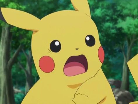 Shocked Pikachu, Moscow Apartment, Thats All Folks, Russian Woman, Play Pokemon, Pokemon Collection, Alvin And The Chipmunks, Cute Hamsters, All Pokemon