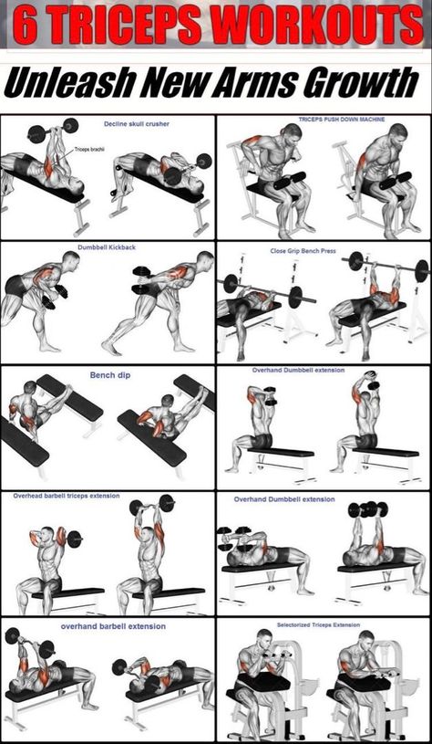 Which of these men exercise is your favoritemenworkout workout fitness armworkoutwithweights fitnessmotivation Tricep Workout Gym, Upper Body Workout Gym, Big Biceps Workout, Chest And Tricep Workout, Bicep And Tricep Workout, Tricep Workout, Workout Gym Routine, Gym Workout Guide, Latihan Dada