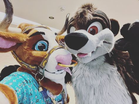 Fursuit Otter, Cow Fursuit, Dog Fursuit Head Base, Partial Fursuit, K Line Fursuit, Houndsteeth Fursuit, Furring A Fursuit Head, Fursuit Head, Blue Bonnets