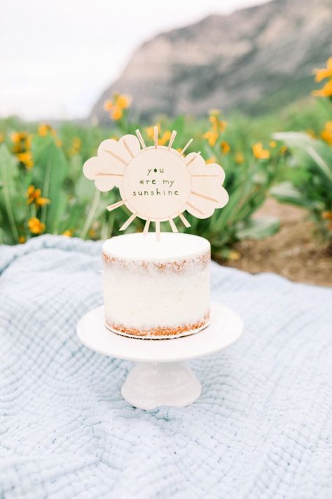 Sun Theme Smash Cake, Boho Sunshine Cake Smash, Boho Sun Birthday Cake, Sunshine Theme Cake, Sunshine Cake Topper, You Are My Sunshine Cake Smash, Sun Cake, Sunshine Cake, Buttercream Cake