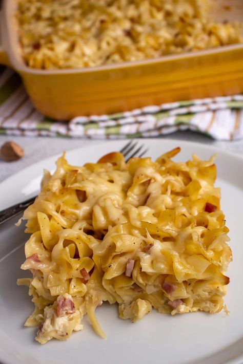 Ham And Cheese Noodle Casserole, German Noodle Casserole, German Egg Noodles, International Casserole Recipes, Ham And Noodle Casserole Recipes, German Noodle Recipes, Ham And Cheese Pasta Bake, German Food For A Crowd, German Egg Noodle Recipes