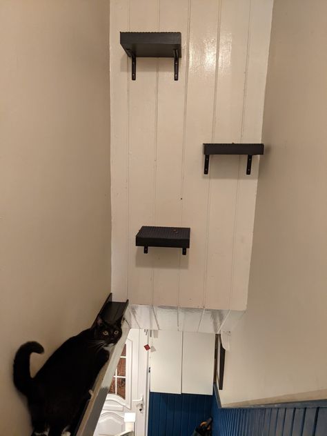 Space Above Basement Stairs, Under Stairs Cat Room, Space Above Stairs, Over Stairs Storage, Activity Wall, Stair Nook, Entryway Stairs, Jumping Cat, Cat Area