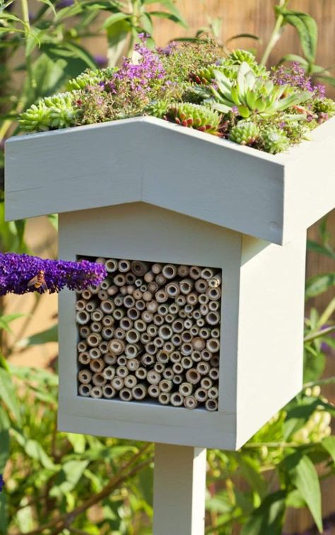 Backyard Bee, Bee Houses, Bee Friendly Garden, Bee Hotel, Bug Hotel, Insect Hotel, Flowers Growing, Bee Garden, Wildlife Gardening