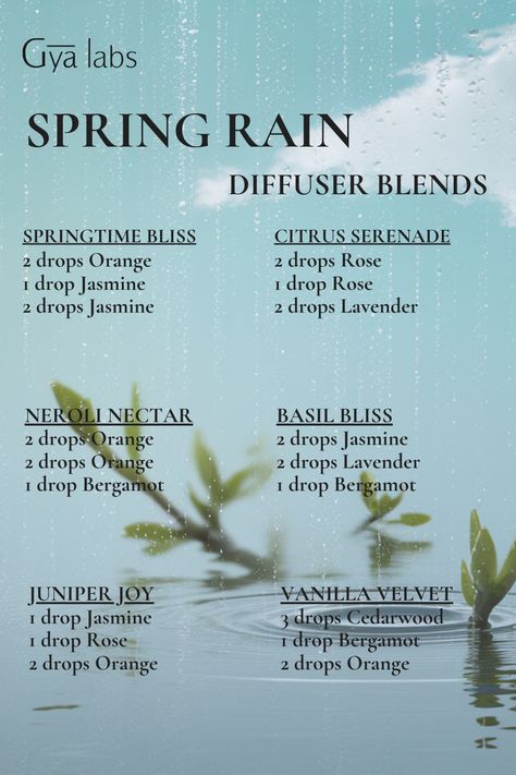 Refresh your senses with the gentle rhythm of spring rain, captured in our invigorating diffuser blend. Let the essence of nature's renewal wash over you, bringing a sense of clarity and rejuvenation to your space. . Shop now: https://amzn.to/3umzs3Y . #GyaLabs #UpliftYourEveryday #essentialoils #spring #april #springseason #aries #amazing #soulwisdom #aprilvibes #spring #springvibes #abundance #inspo #inspiration #NaturalCare #HealthyLiving #EssentialOils #woman #skincareroutine #beauty Rain Diffuser, Essential Oil Candle Blends, Headache Relief Essential Oils, Spring Diffuser Blends, Diffuser Scents, Candle Recipes, Magic Oil, Cooking With Essential Oils, Essential Oil Combinations