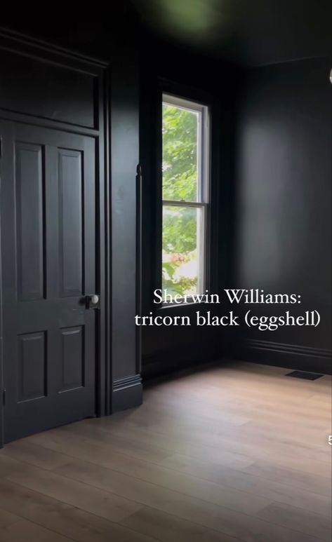 Black Room And Ceiling, Black Walls Light Floors, Black Walls White Doors, Dark Interior Wall Colors, Black Walls And Trim, Black Cottage Interior, Dark Door Paint Color, Moody Trim Colors, Black Painted Paneling