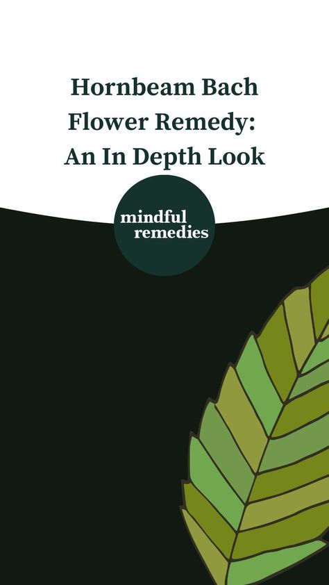Nothing feels more defeating than facing a day when you don't have the energy to get out of bed. The good news is that there are remedies available to help address mental weariness and lack of motivation. One such remedy is Hornbeam Bach flower remedy. Hornbeam is indicated for people who feel mentally tired and lack the energy to face the day. If you're experiencing these symptoms, consider trying Hornbeam. You can read more in this blog. Bach Flowers, Bach Flower Remedies, Flower Remedy, Get Out Of Bed, Lack Of Motivation, The Good News, Getting Out Of Bed, The Energy, Good News