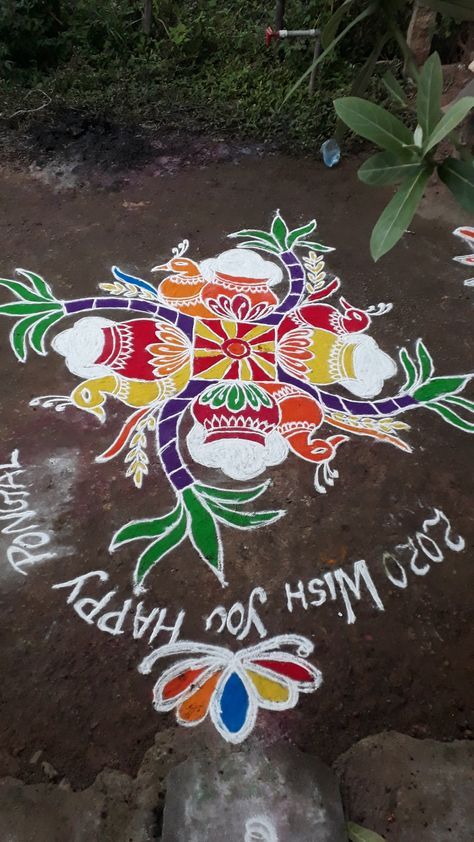 Mattu Pongal, Pongal Kolam, Sankranthi Muggulu, Diwali Design, Rangoli Designs Simple Diwali, Dots Rangoli, Big Rangoli, Rangoli Side Designs, Rangoli Colours