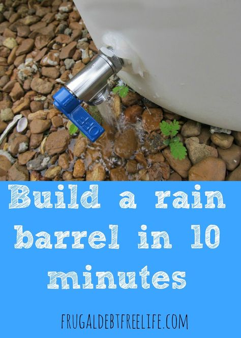 Rain Barrel System, Patio Ideas On A Budget, Barrels Diy, Greenhouse Design, Rainwater Collection, Water From Air, Rainy Summer, Water Barrel, Rain Collection