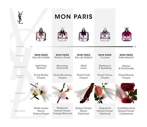 YSL Mon Paris collection. Ysl Perfume Mon Paris, Ysl Perfume Woman, Ysl Mon Paris Perfume, Mon Paris Ysl, Yves Saint Laurent Mon Paris, Ysl Fragrance, Saint Laurent Mon Paris, Perfume Ingredients, Ysl Mon Paris