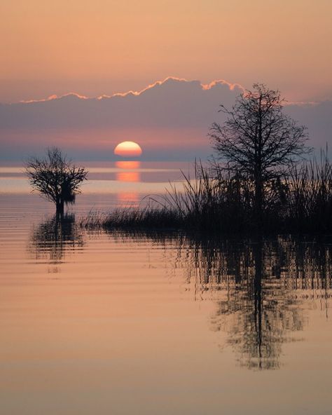 Doug Hickok on Instagram: “One last sunrise from along the edge of Lake Moultrie... ~ #dougscharlestonlowcountrylandscape ~ #hueandeyephotography #landscapelovers…” Sunrise Lake, Wolf Spirit Animal, Wolf Spirit, Coastal Landscape, Landscape Pictures, Low Country, Sky And Clouds, Pastel Drawing, Spirit Animal