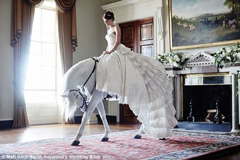 Equestrian Wedding, Horse Wedding, Equestrian Chic, Equestrian Decor, 강아지 그림, Horse Crazy, White Horses, Cute Horses, Equine Photography