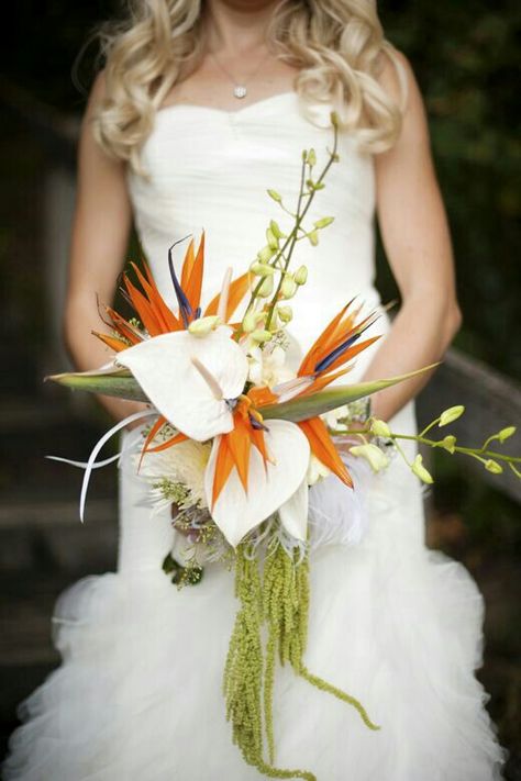 A Stunning Bridal Bouquet Arranged With: White Spider Mums, White Orchids & Buds, White Anthurium, Blue/Orange Birds Of Paradise, Green Amaranthus>>>> Bird Of Paradise Bouquet, Bird Of Paradise Wedding, Tropical Wedding Bouquets, Modern Wedding Bouquets, Paradise Wedding, Birds Of Paradise Flower, Tropical Wedding Flowers, Sophisticated Bride, Bird Of Paradise