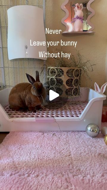 343 likes, 2 comments - _powerpuffbunnies_ on June 21, 2024: "Friendly reminder to refill your pets hay! ☺️ Bunnies need unlimited hay ❤️ . Hay holder from @bunn.ease Litter box from @rooly_buns Hay...". Pet Bunny, Friendly Reminder, June 21, Animal Decor, Litter Box, Rabbits, Buns, Humor, Humour