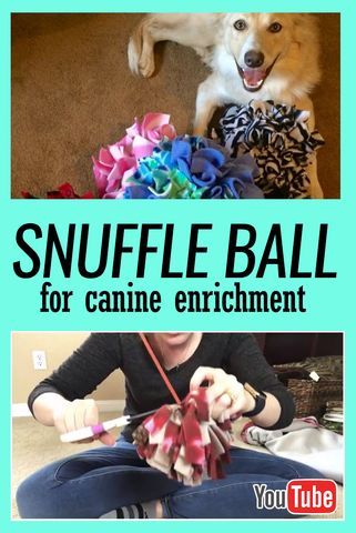 Canine Enrichment, Snuffle Ball, Dogs Diy Projects, Billy B, Pet Things, Snuffle Mat, Dogs Stuff, Diy Dog Toys, Doggie Treats