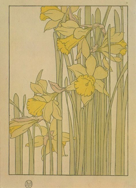 Daffodil by Jeannie Foord ▫ Decorative Flower Studies Series / Pochoir Prints ▫ 1904 Flowers Drawing Tattoo, Fiori Art Deco, Fleurs Art Nouveau, Motifs Art Nouveau, Illustration Art Nouveau, Art Nouveau Illustration, Art Nouveau Pattern, Art Nouveau Flowers, Flowers Drawing