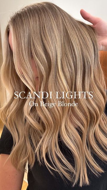 Blonde Beige Highlights, Warm Winter Blonde, Natural Looking Blonde Hair Highlights, Lived In Warm Blonde, Fine Blonde Highlights, Honey Blonde Hair Highlights, Natural Blonde Highlights, Cool Blonde Hair Colour, Warm Blonde Hair