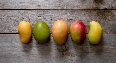 Mango Varieties - Learn About Different Types of Mangoes Varieties | Mango.org Mango Types, Mango Panna Cotta, Fruit Facts, Mango Varieties, Mango Fruit, Mango Tree, Candied Pecans, Healthy Fruits, Fresh Produce