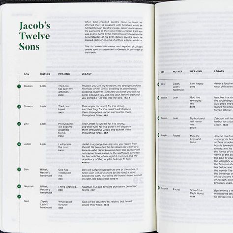 CSB He Reads Truth Bible, Evergreen Cloth Over Board, Black Letter, Wide Margins, Journaling Space, Illustrations, Reading Plans, Single-Column, Easy-to-Read Bible Serif Type: He Reads Truth, CSB Bibles by Holman, Myers, Raechel, Williams, Amanda Bible: 9781535935036: Amazon.com: Books Easy To Read Bible, He Reads Truth, She Reads Truth Bible, Book Of The Bible, Bible Text, Reading Plan, Books Of The Bible, Letter T, Read Image