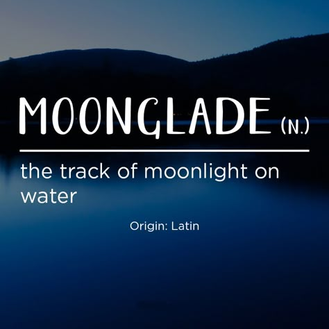 Moonglade noun the track of moonlight on water word definition Nature Words, Interesting Words, Unique Words Definitions, Uncommon Words, Fancy Words, Word Nerd, Weird Words, Unusual Words, Word Definitions