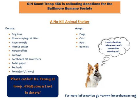 Troop 456 chose to collect donations for humane society for their Junior Agent of Change take action project. They will take the donations to them and will get a tour. All girls played a part. This flyer was designed by one of our girls. Kong Stuffing, Girl Scout Juniors, Agent Of Change, Service Projects, Girls Play, Girl Scout, Cat Litter, Humane Society, Take Action