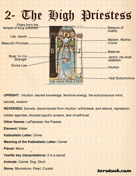 The High Priestess Tarot Card Meaning | Tarot Oak Tarot Card Meanings Cheat Sheets, Kartu Tarot, Tarot Interpretation, The Magician Tarot, Tarot Significado, Tarot Cards For Beginners, The High Priestess, Learning Tarot Cards, Tarot Guide