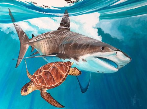 Shark Attacking, Guy Harvey Art, Loggerhead Turtle, Shark Painting, Shark Diving, Tiger Shark, Beautiful Sea Creatures, Guy Harvey, Ocean Fishing