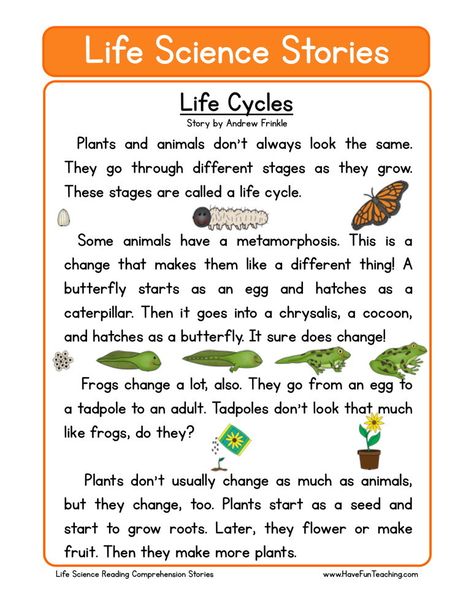 This Reading Comprehension Worksheet - Life Cycles is for teaching reading comprehension. Use this reading comprehension story to teach reading comprehension. Science Reading Comprehension, Ingles Kids, Teaching Reading Comprehension, Animal Life Cycles, Science Stories, Science Reading, Literacy Worksheets, Have Fun Teaching, Reading Comprehension Skills