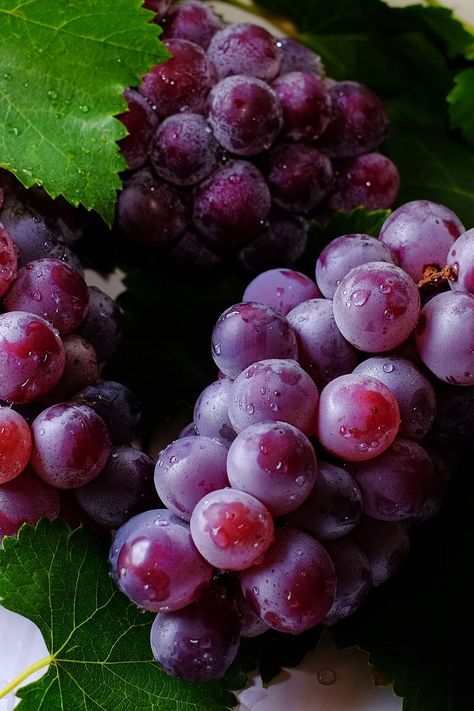 Fruits For New Year, Fruit Grapes, Grapes Fruit, Dried Hydrangeas, Online Delivery, Fiber Rich Foods, Growing Grapes, Snacks Für Party, Healthy Soup Recipes