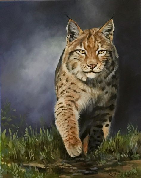 Oil painting, bobcat, wild cat Lee Ann, Oil Portrait, Driftwood Art, Reference Photos, Cool Art Drawings, Art Reference Photos, Wild Cats, Art Reference, Cool Art