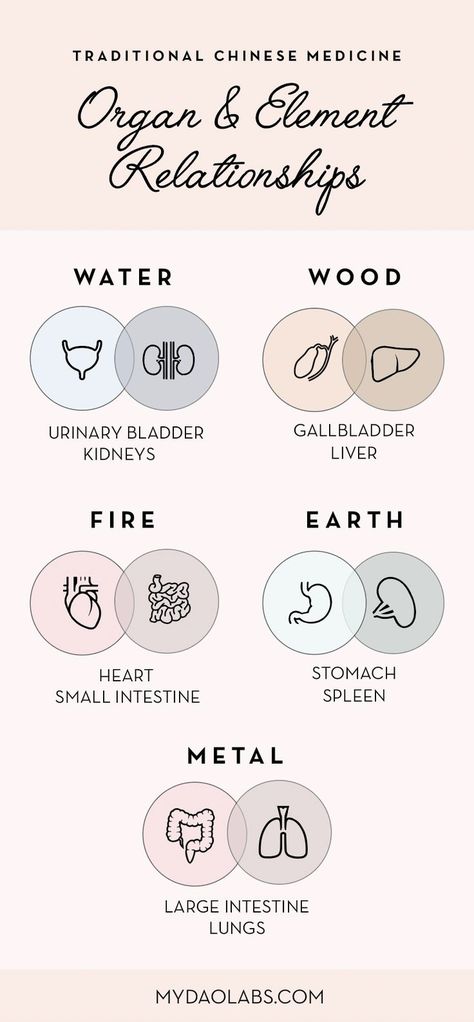 ❤️ Kidney-Urinary Bladder (Water) stores and produces Vital Essence ❤️ Liver-Gallbladder (Wood): stores Blood and ensures smooth circulation of the Qi ❤️ Heart-Small Intestine (Fire) circulates Blood and houses the Spirit (consciousness/mind) ❤️ Spleen-Stomach (Earth) transforms, generates and distributes nourishment ❤️ Lung-Large Intestine (Metal) receives, generates and disperses Qi and fluids Large Intestine Meridian, Liver Qi Stagnation, Kidney Meridian, Eft Technique, Tcm Traditional Chinese Medicine, Urinary Bladder, Small Intestine, Organ System, Holistic Therapies