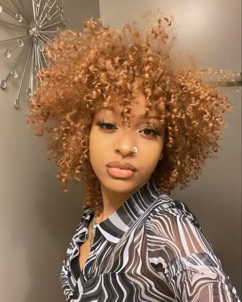 Cooper Hair Color Curly, Strawberry Blonde Natural Hair, Light Ginger Hair Black Women, Honey Blonde Curly Hair Black Women, Light Brown Curly Hair Black Women, Coil Styles, Honey Blonde Afro, Curly Afro Hair, Dyed Curly Hair