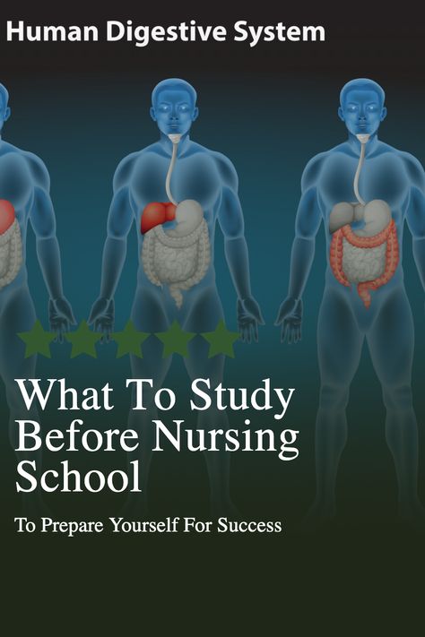 Are you thinking about a career in nursing? This guide will give you everything you need to know about nursing school, and how to prepare yourself for success. Get a scoop on the topics to study to prepare yourself. How to get into nursing school, nursing school prerequisite, and study tips for nursing students. Get ready for a challenging and rewarding career! #nursing #nursingschool #nursingstudents #nurse Nursing School Preparation Tips, How To Prepare For Nursing School, Topics To Study, Tips For Nursing Students, Pediatric Nursing Study, Lpn Nursing Student, Nursing School Success, Nursing School Quotes, Nursing School Scholarships