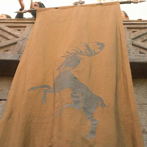 Baratheon Aesthetic, Game Of Thrones Story, Dark Wings, Dragon Artwork Fantasy, Song Of Ice And Fire, Asoiaf Art, Gra O Tron, Ice And Fire, Eye Of The Storm