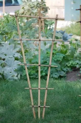 How to Build a Bamboo Garden Trellis Frugally - Dengarden Bamboo Projects, Decorative Trellis, Diy Bamboo, Small Trellis, Bamboo Diy, Flower Trellis, Diy Garden Trellis, Bamboo Trellis, Bamboo Decor