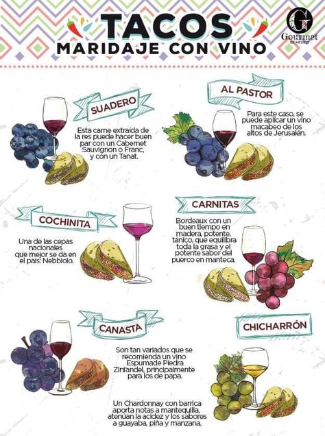 Wine Tasting Food, Wine Appetizers, Onehope Wine, Wine Facts, Wine Knowledge, Wine Quotes Funny, Food Infographic, Wine Tasting Party, Wine Guide