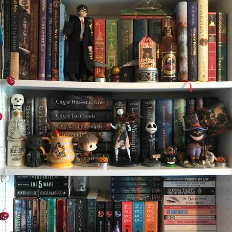 Nerd Room Aesthetic Bedroom, Harry Potter Book Display, Bookshelf Harry Potter, Harry Potter Bookshelf Ideas, Harry Potter Book Corner, Harry Potter Library Decor, Bookshelf Figurines, Cozy Book Shelf, Bookshelf Aesthetic Bedroom