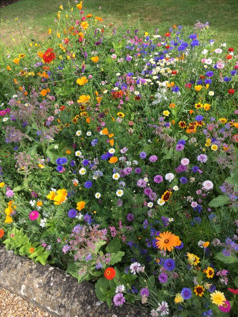 Boca Of Flowers, Garden Fruit Trees, Trees Garden, Garden Fruit, Wild Flower Meadow, Flower Meadow, Garden Aesthetic, Nothing But Flowers, Flower Bomb