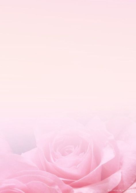 Floral Border Design, Flower Background Wallpaper, Flower Phone Wallpaper, Cellphone Wallpaper, Floral Background, Flower Backgrounds, Valentin Nap, Writing Paper, Pink Wallpaper