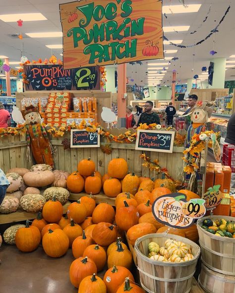 All about that pumpkin spice life? Here’s a roundup of vegan pumpkin-flavored treats available at Trader Joe’s stores. Fall Nostalgia, Veggie Stand, Trader Joes Vegan, Fall Scenes, Fall Harvest Party, Chalkboard Writing, Supermarket Display, Produce Displays, Merchandising Ideas