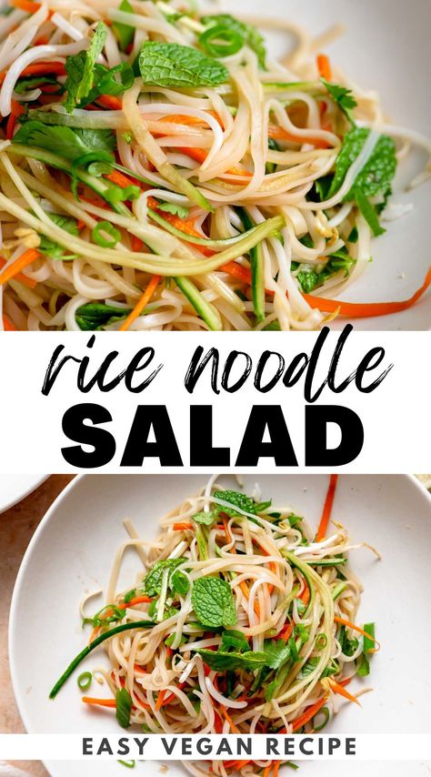 This cold Vietnamese noodle salad features crisp veggies and tangy lime dressing and takes just 15 minutes to make with simple ingredients. Rice Noodle Salad Recipes, Salad Base, Bean Sprout Recipes, Vietnamese Noodle Salad, Noodle Salad Cold, Juice Coconut, Vietnamese Rice, Rice Noodle Salad, Vietnamese Noodles