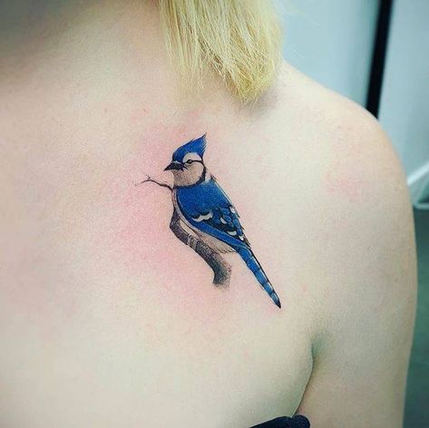 Insect Tattoos, Blue Jay Tattoo, Jay Tattoo, Wrist Tattoos Girls, Red Bird Tattoos, Bluebird Tattoo, Bird Tattoos For Women, 16 Tattoo, Blue Jay Bird